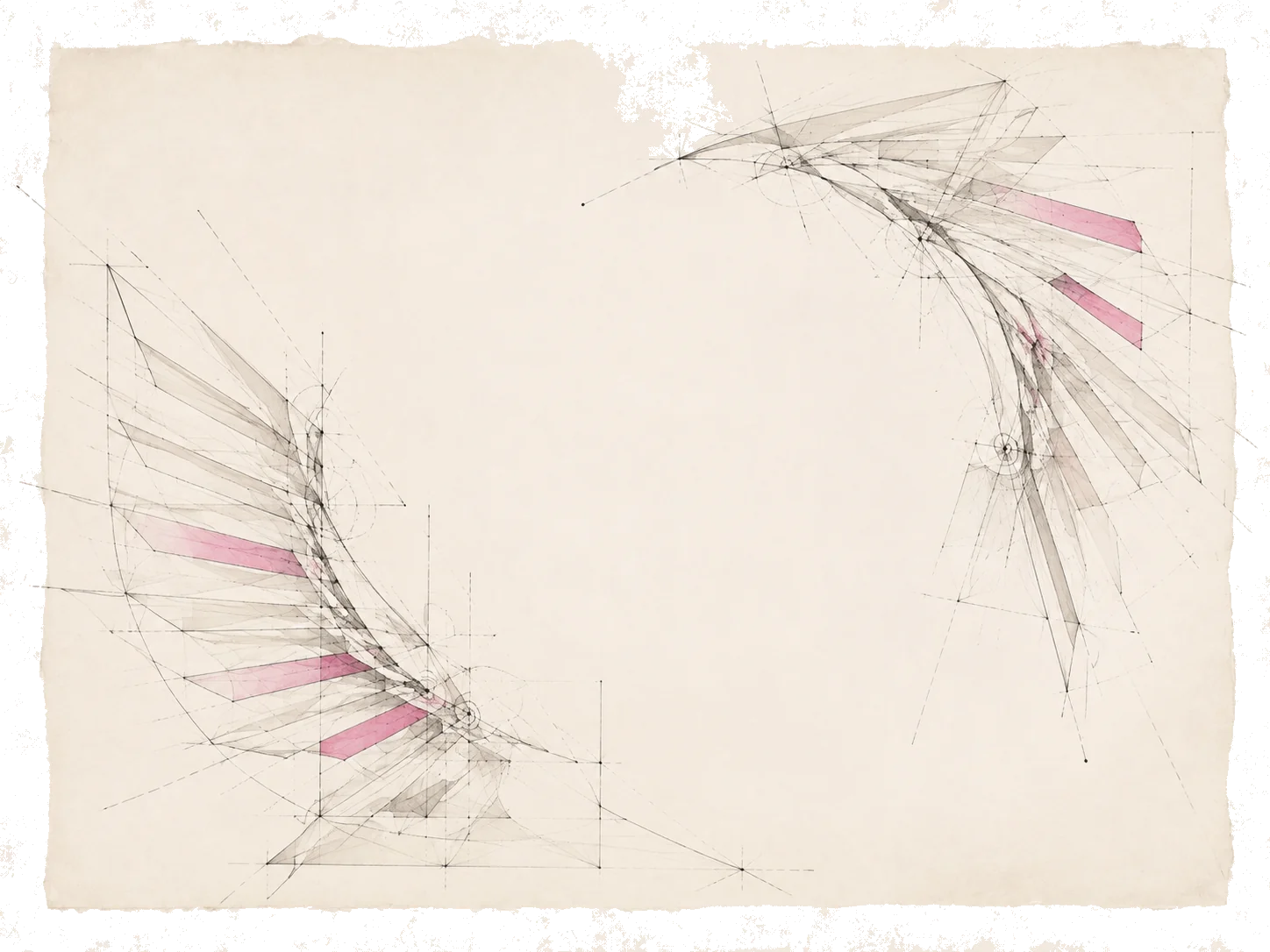 Two wing-like geometric studies facing across an open field, drawn in fine lines with pink accents.